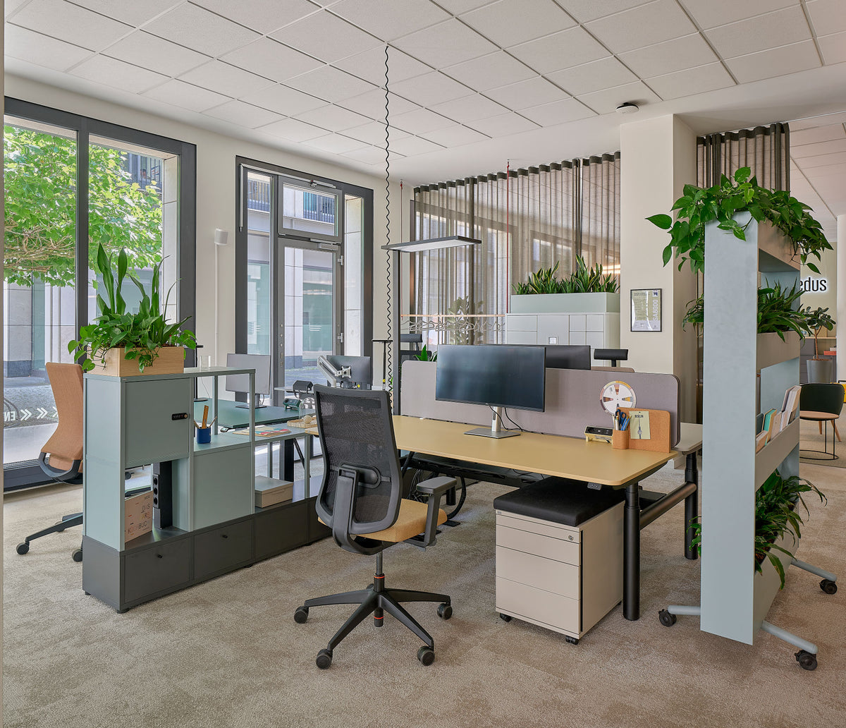 Perfektes Arbeiten im Großraumbüro